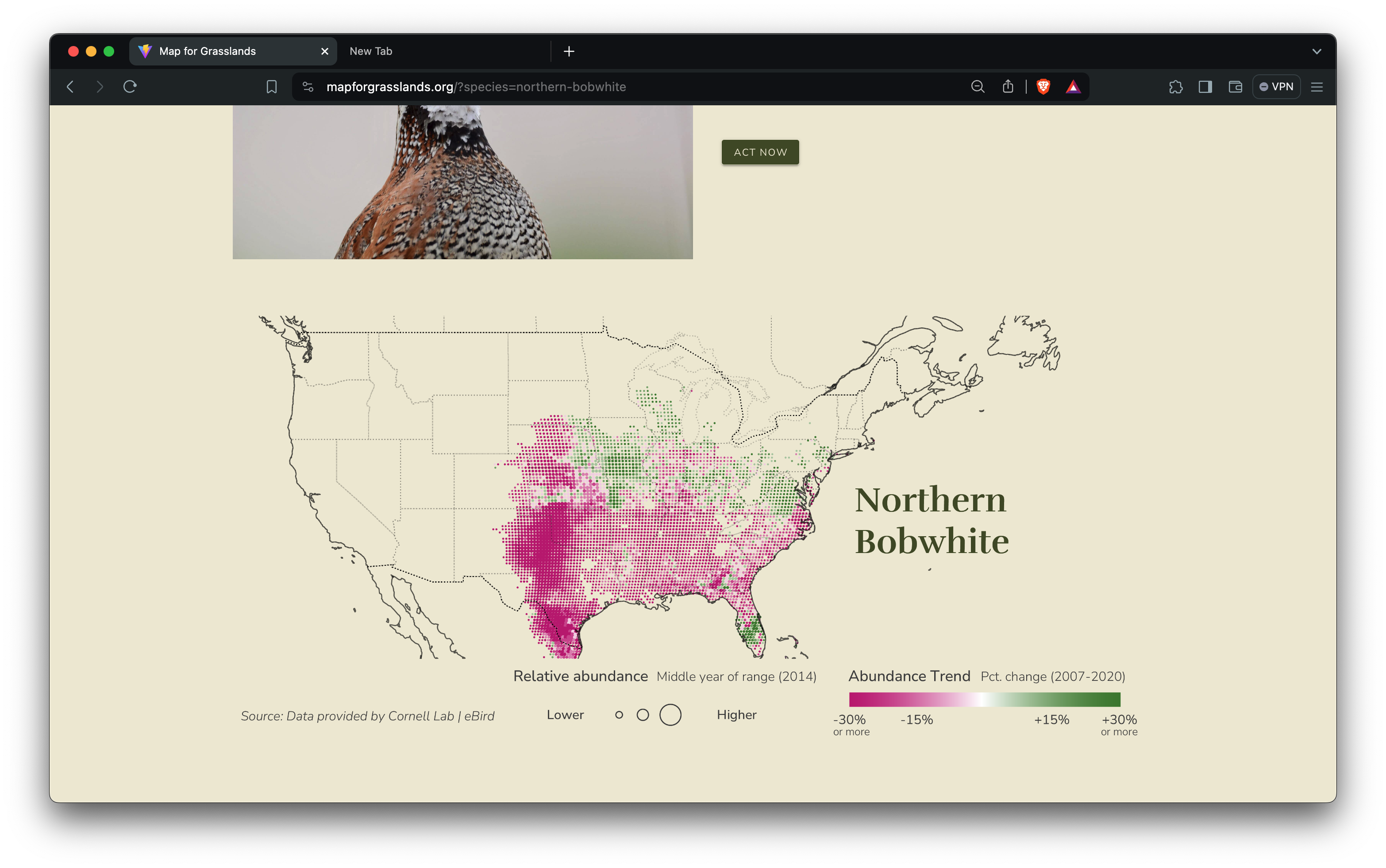 An image of a map showing where the Northern Bobwhite bird species hhas declined in abundance over time. This bird has seen huge declines in the southern U.S. in the area around Texas due to loss of grasslands habitat.